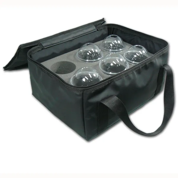 Insulated Drink Transport Bag