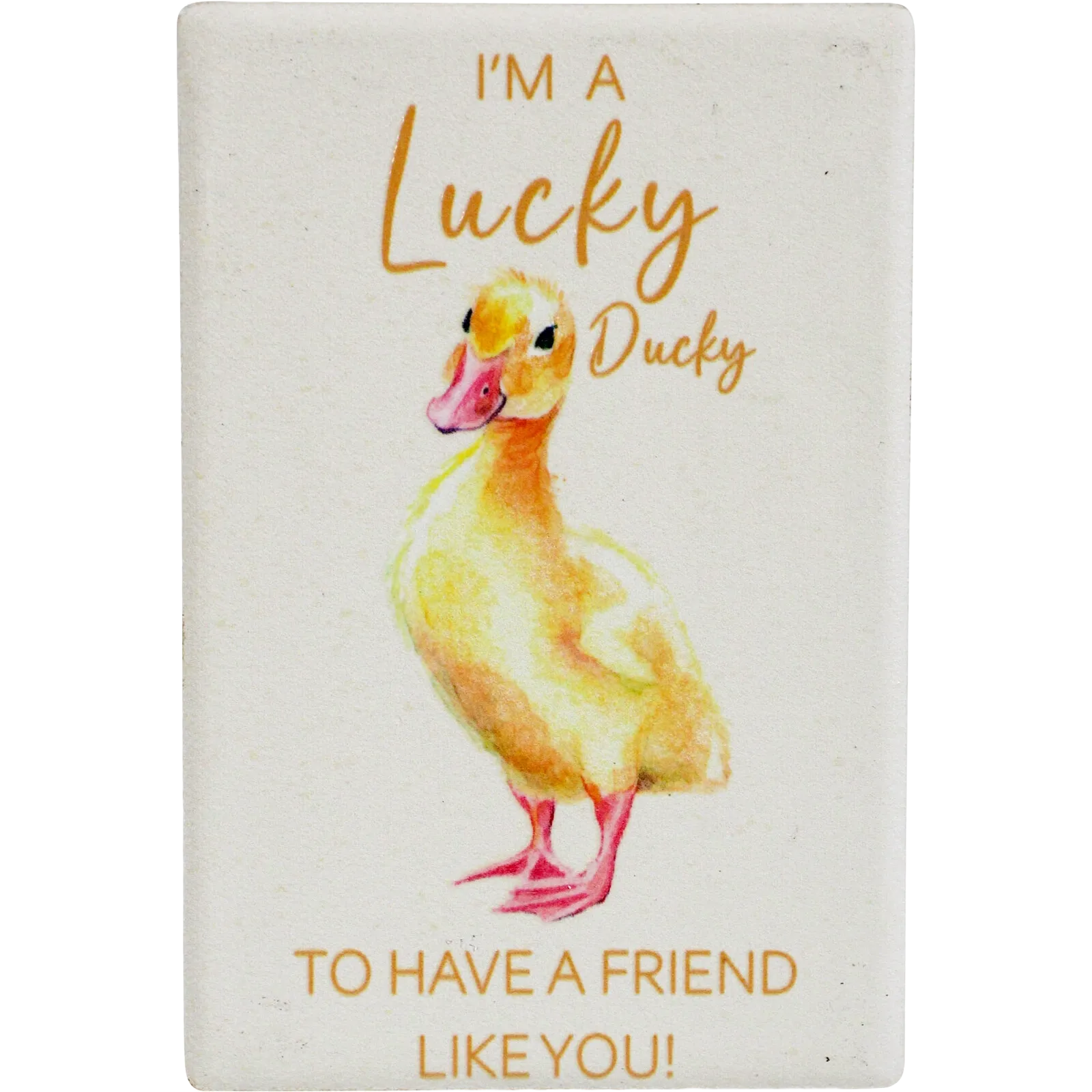 Lavida Magnet Lucky Duck